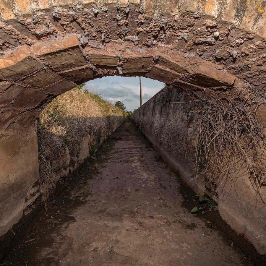 L’aigua i la séquia