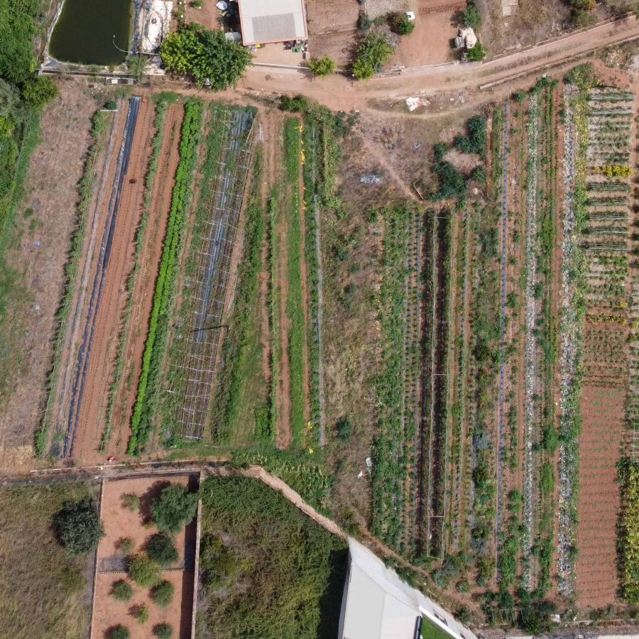 Viver d’agricultores i Custòdia del Territori