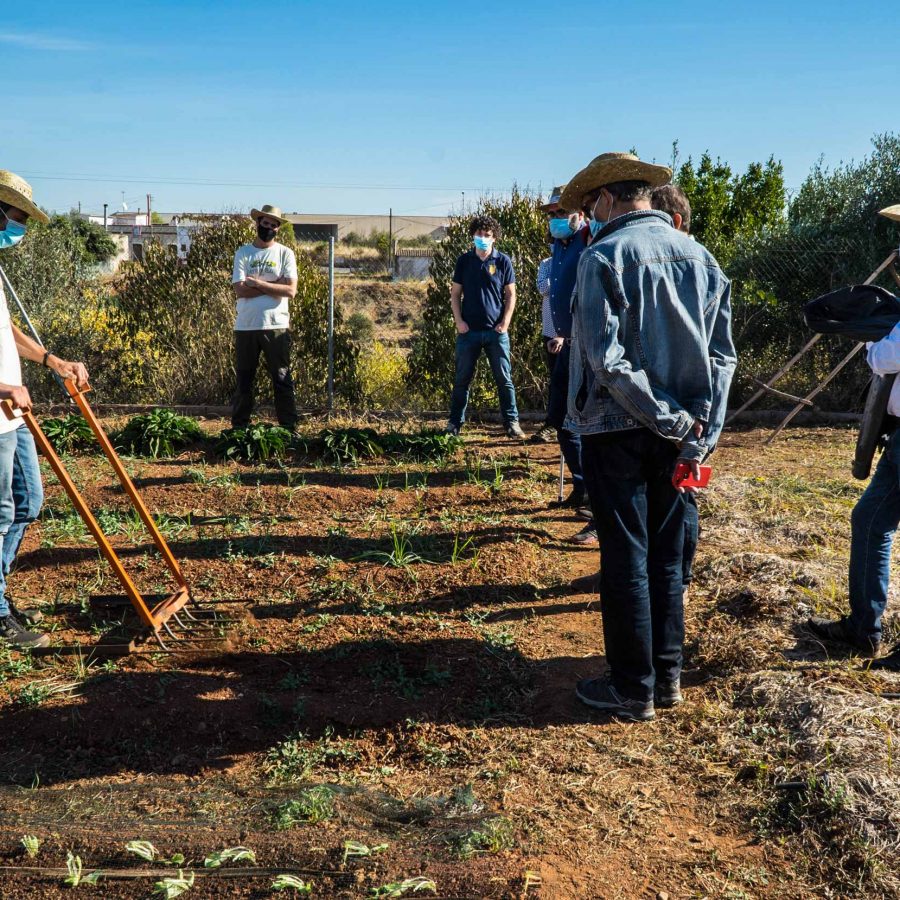 Tècniques de cultiu agroecològiques