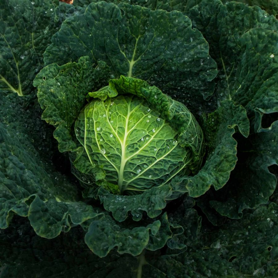 Productes de proximitat i temporada