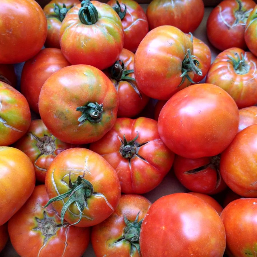 Varietats tradicionals